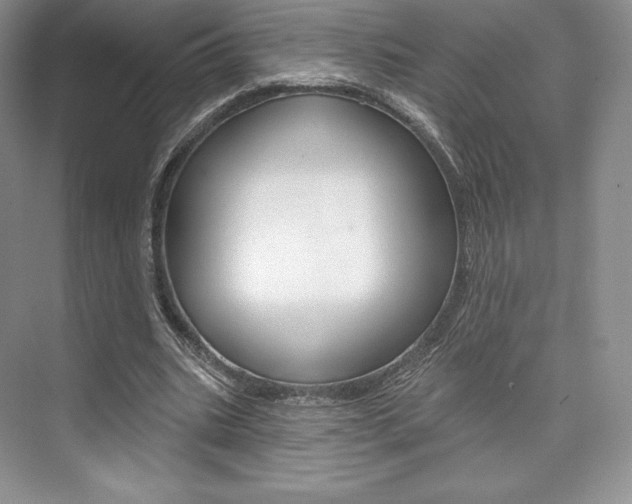 X0000073890535200608110912