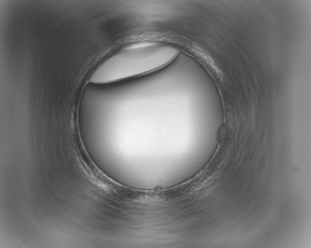 X0000073890537200608110912