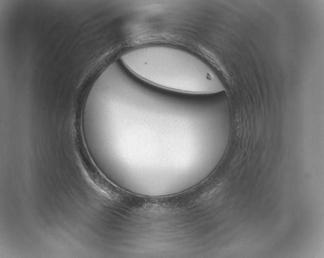 X0000073890538200608110912