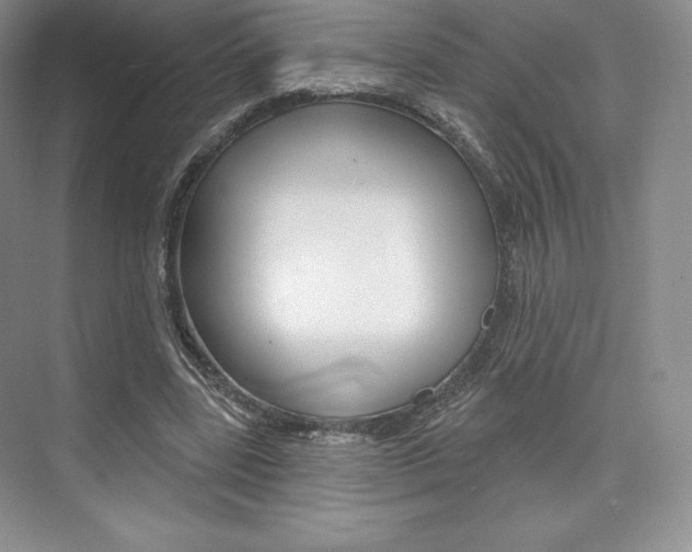 X0000073890539200608110912