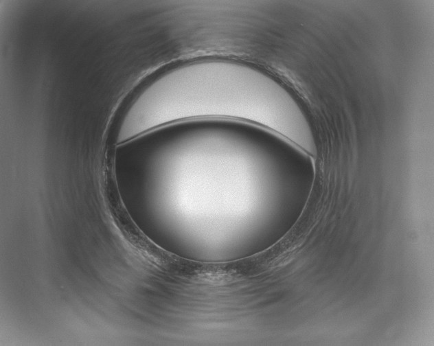 X0000073890540200608110912
