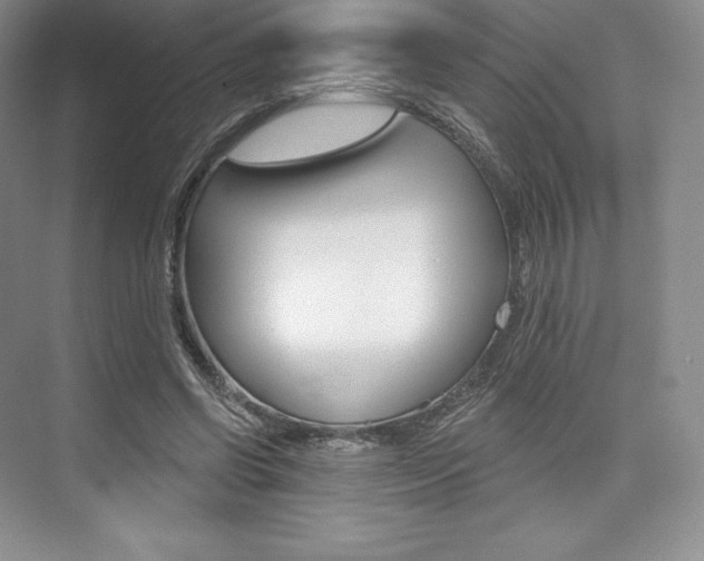 X0000073890542200608110912