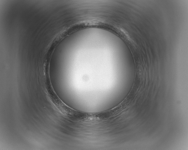 X0000073890543200608110912