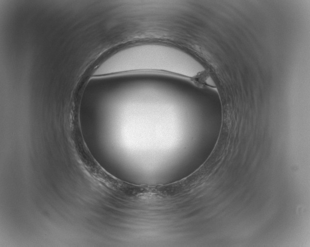 X0000073890544200608110912