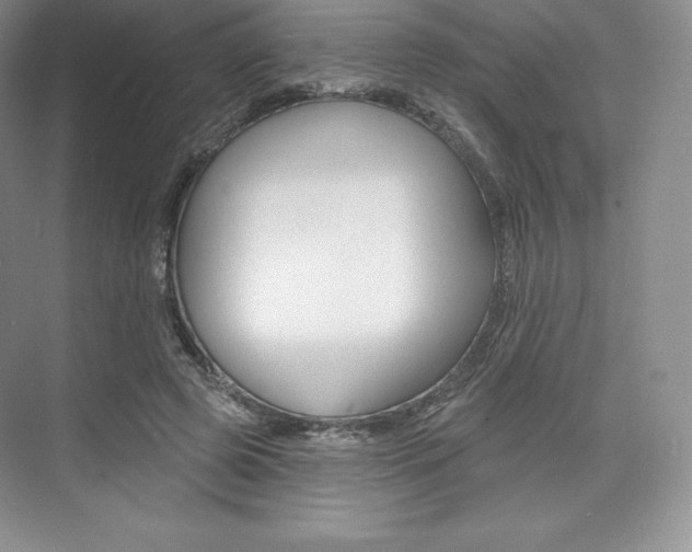 X0000073890545200608110912