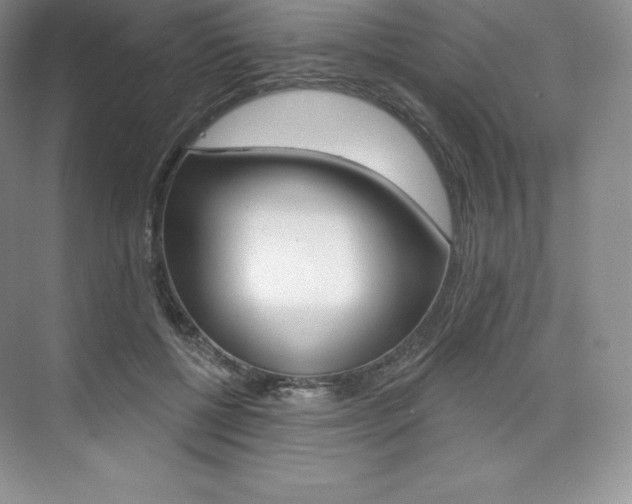 X0000073890552200608110912