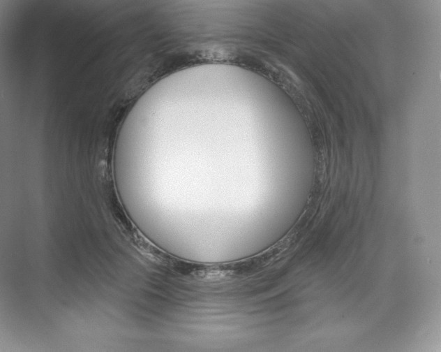 X0000073890553200608110912