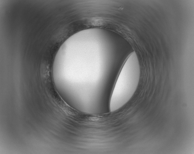 X0000073890555200608110912