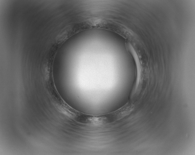 X0000073890558200608110912