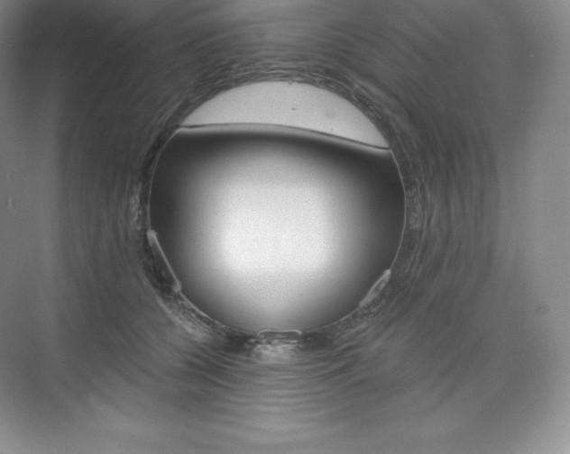 X0000073890560200608110912