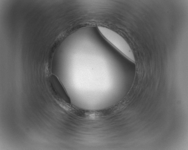 X0000073890564200608110913