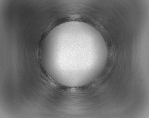 X0000073890565200608110913
