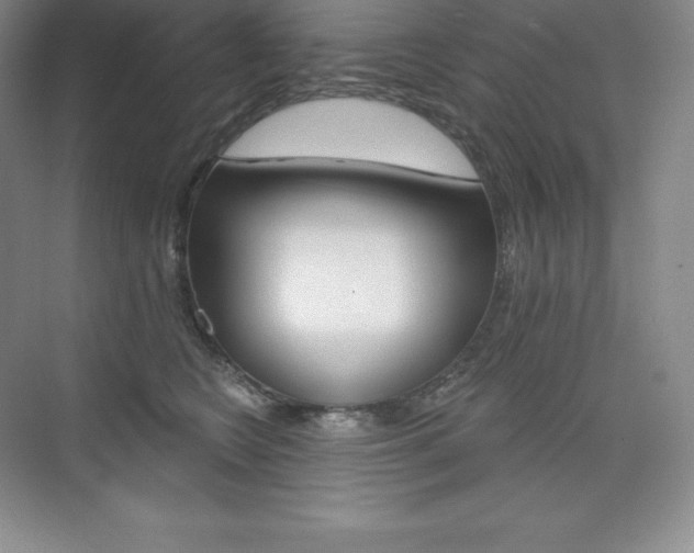 X0000073890566200608110913