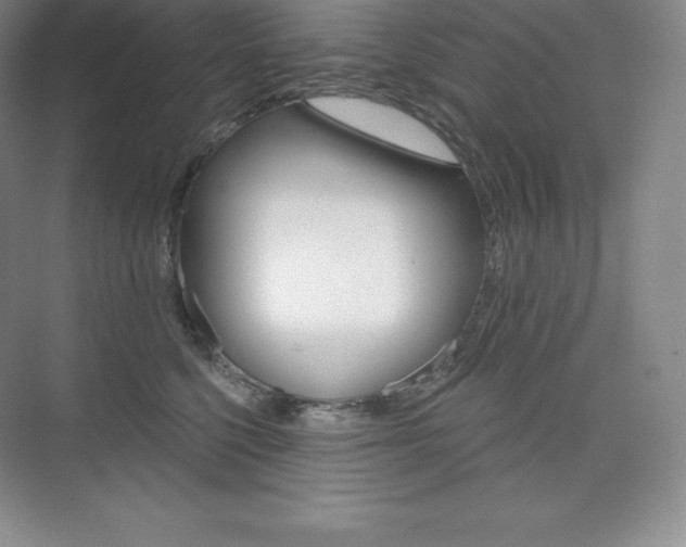 X0000073890568200608110913