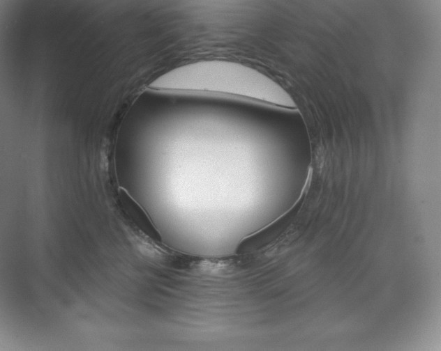 X0000073890570200608110913