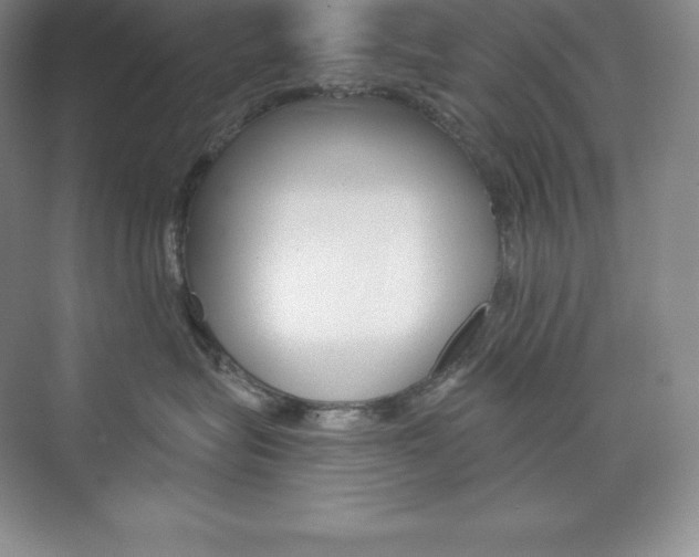X0000073890575200608110913