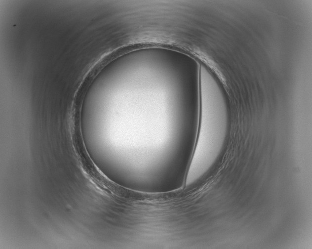 X0000073890580200608110912