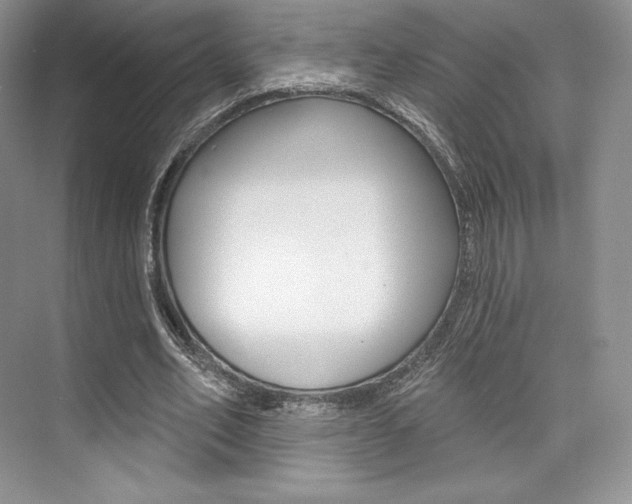 X0000073890582200608110912