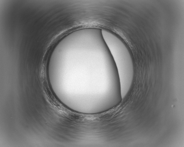 X0000073890583200608110912