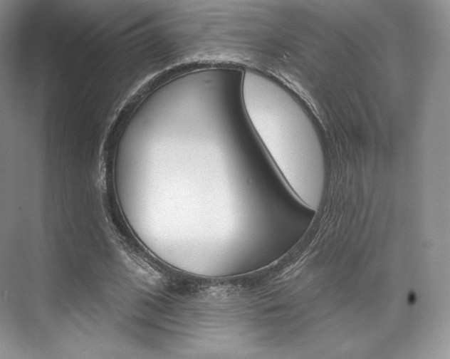 X0000073890584200608110912