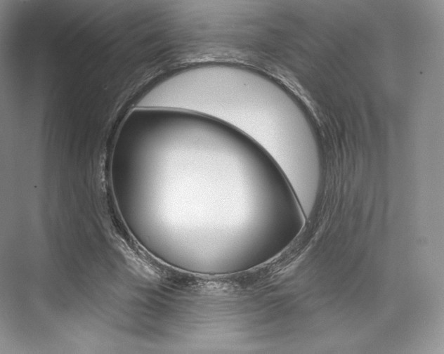 X0000073890585200608110912