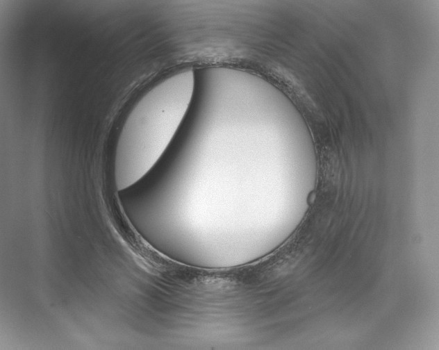 X0000073890590200608110912