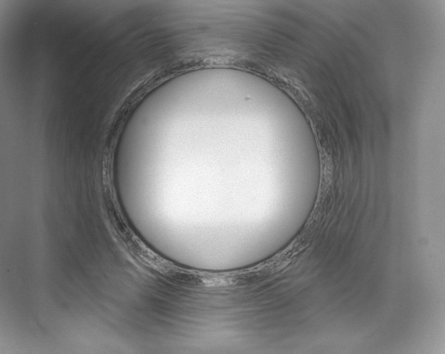 X0000073890591200608110912