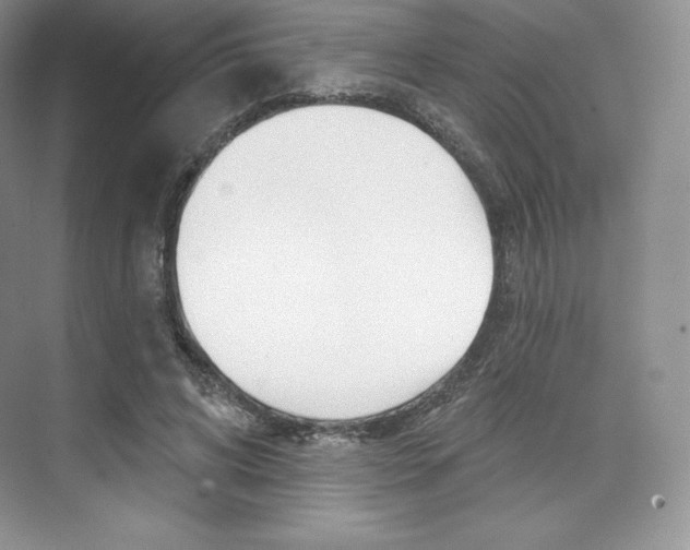 X0000073890592200608110912