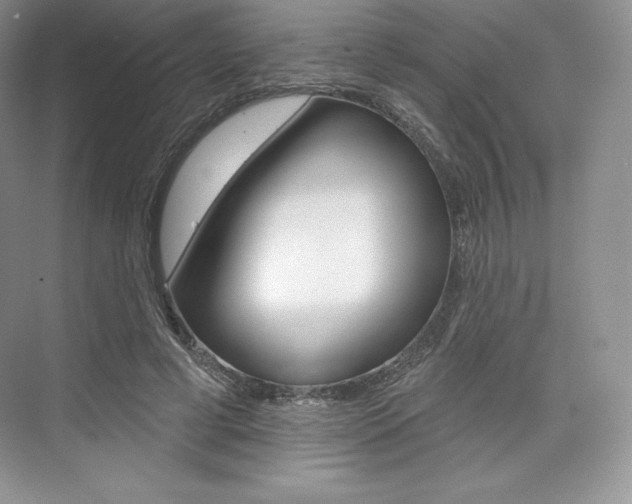 X0000073890593200608110912