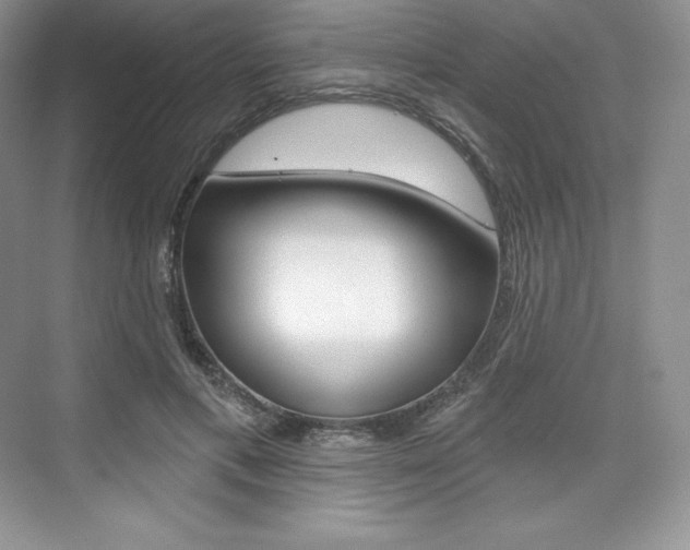 X0000073890597200608110912