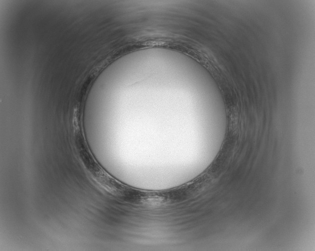 X0000073890598200608110912