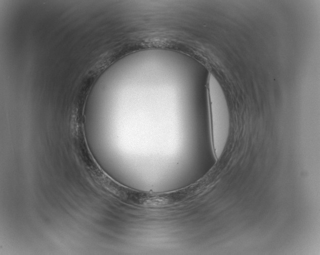 X0000073890599200608110912