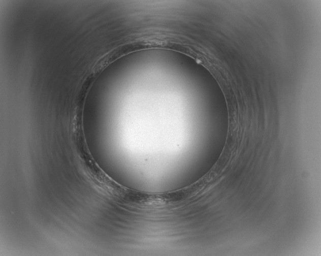 X0000073890600200608110912