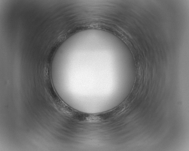 X0000073890603200608110911