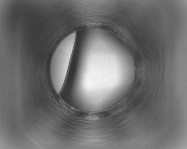 X0000073890604200608110911