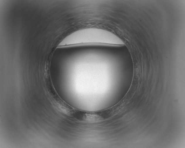X0000073890605200608110911