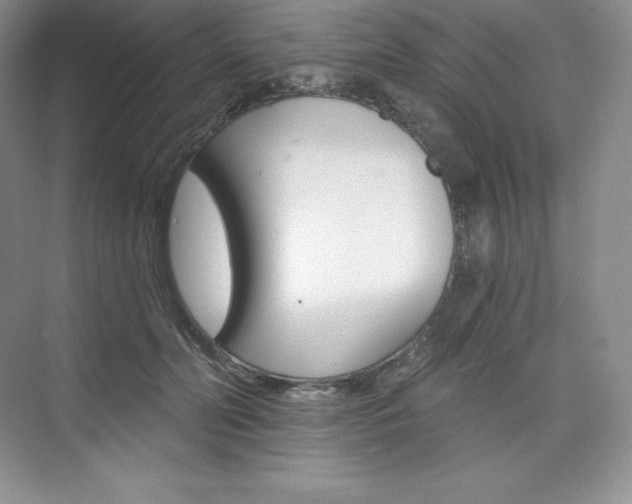 X0000073890606200608110911