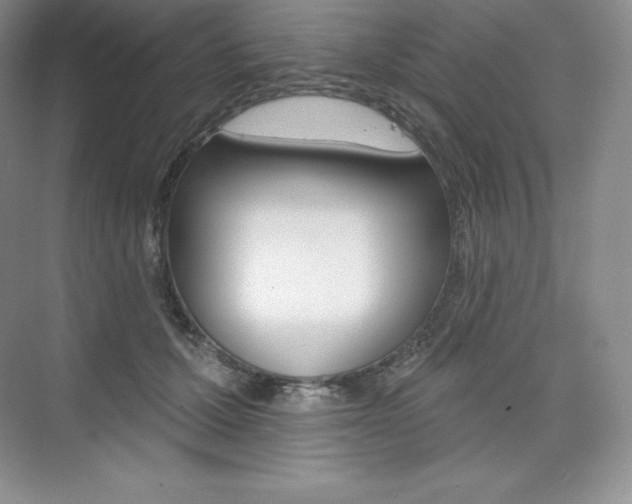 X0000073890607200608110911