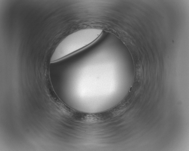 X0000073890608200608110911