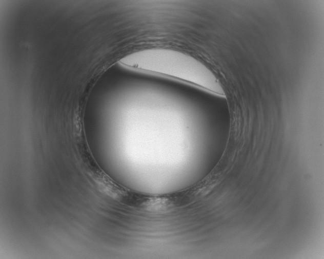 X0000073890609200608110911