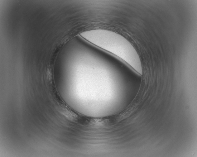 X0000073890613200608110911