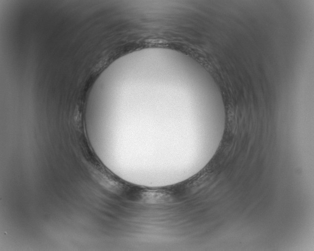 X0000073890614200608110911