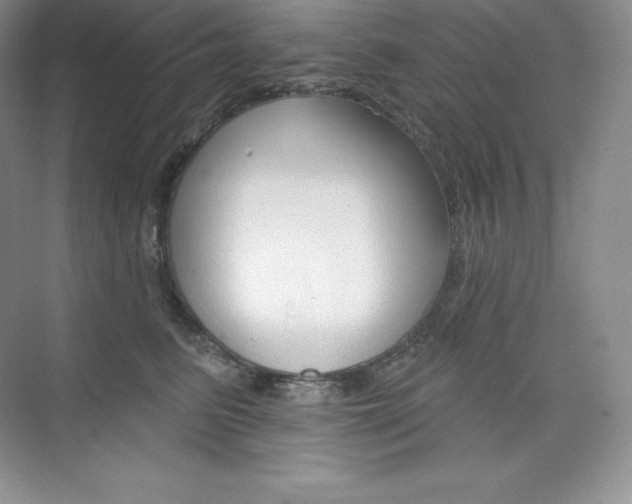 X0000073890615200608110911