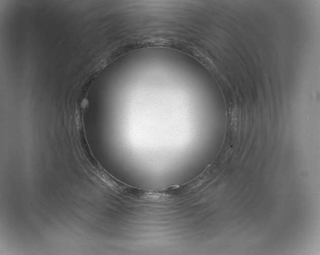 X0000073890617200608110911