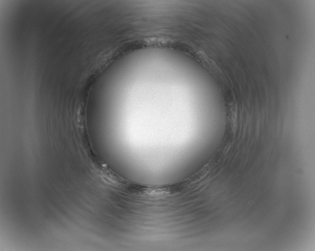 X0000073890619200608110911