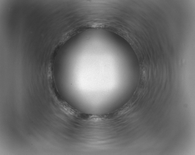 X0000073890620200608110911