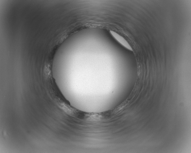 X0000073890621200608110911