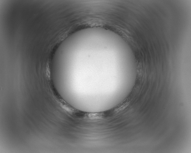 X0000073890622200608110911