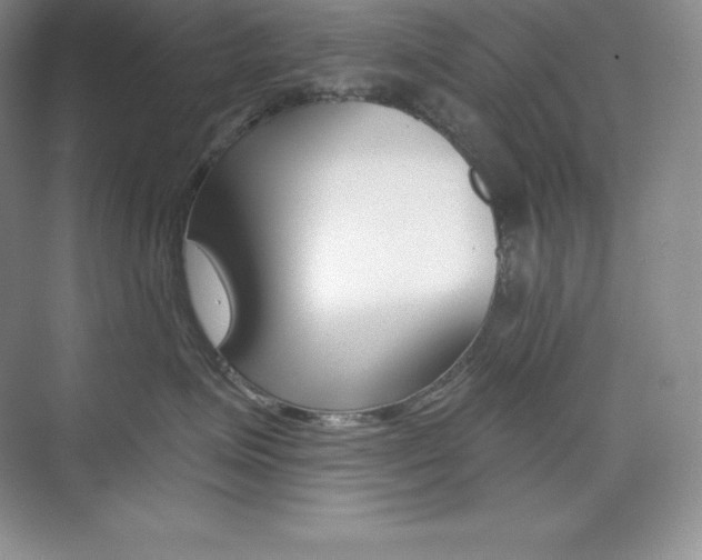 X0000073890623200608110911