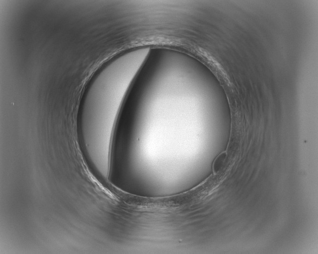 X0000073890625200608110910